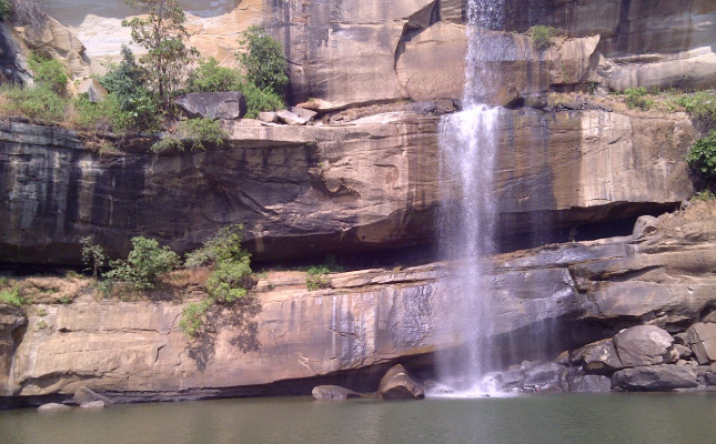 shimba hills1